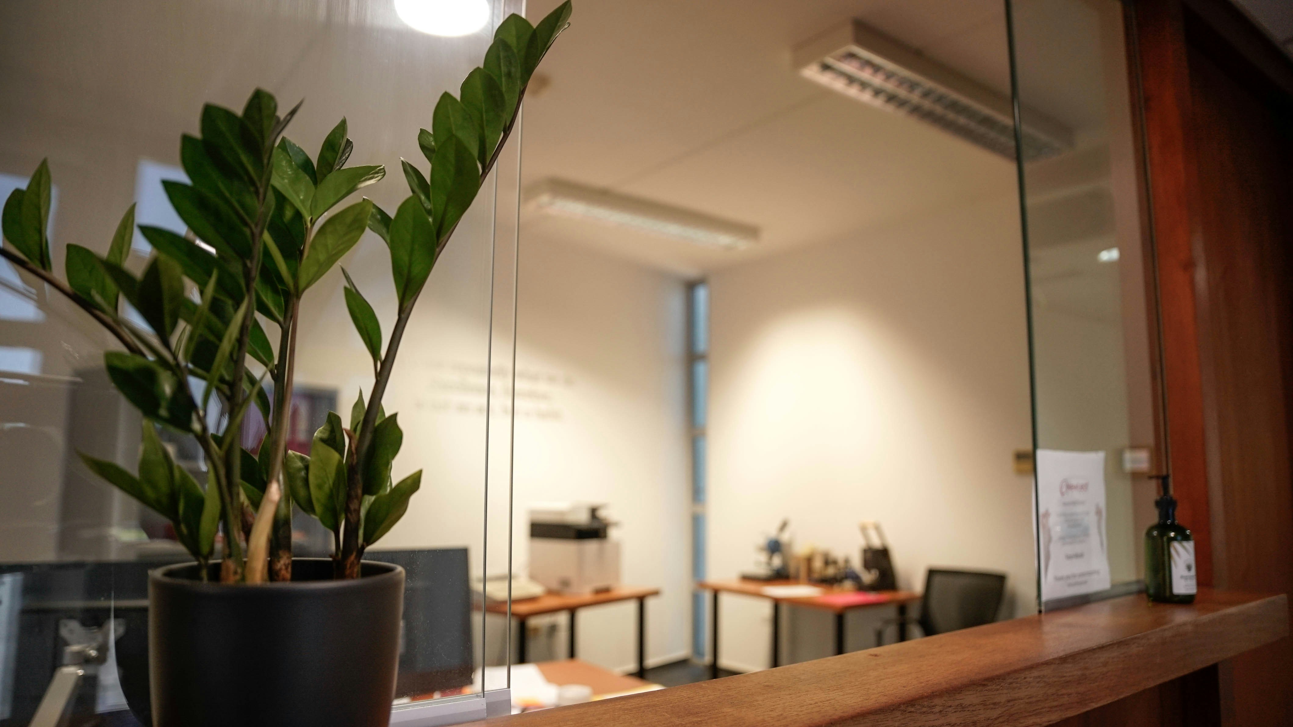 Company office